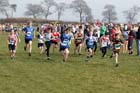 Blue  Start North East Harrier League, Prudhoe, Northumberland.